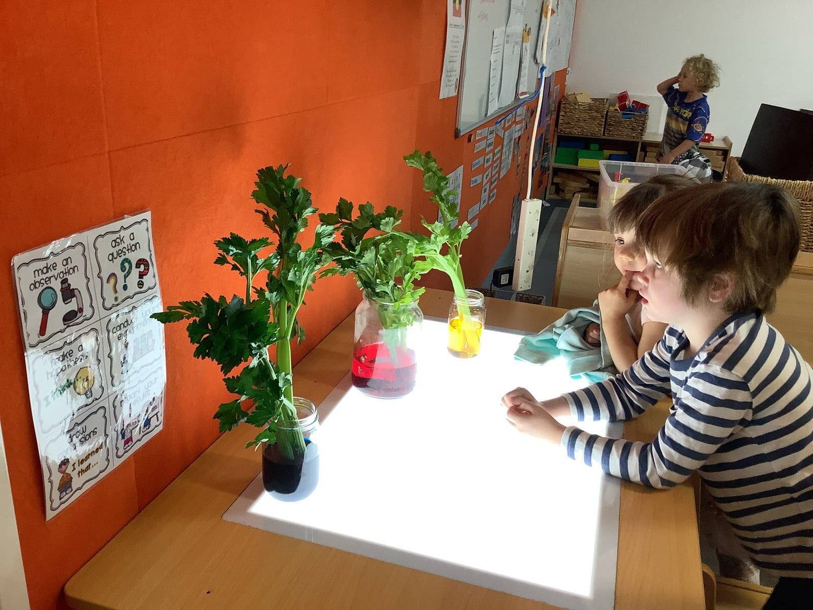 Little Ducks Childcare Bardon