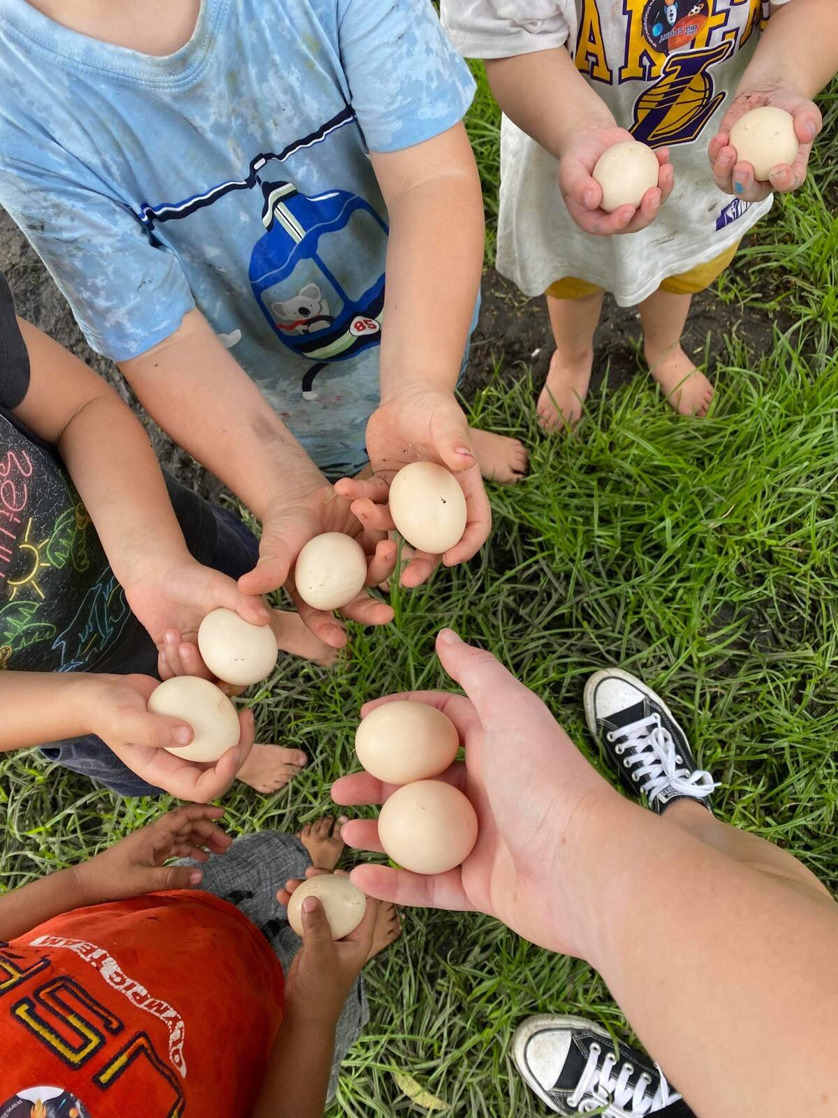 Grassroots Early Learning Centre