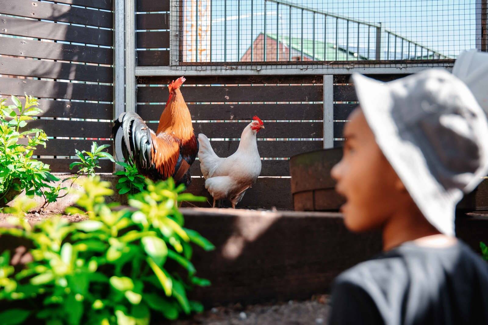 Tralee Gardens Centre for Babies and Toddlers