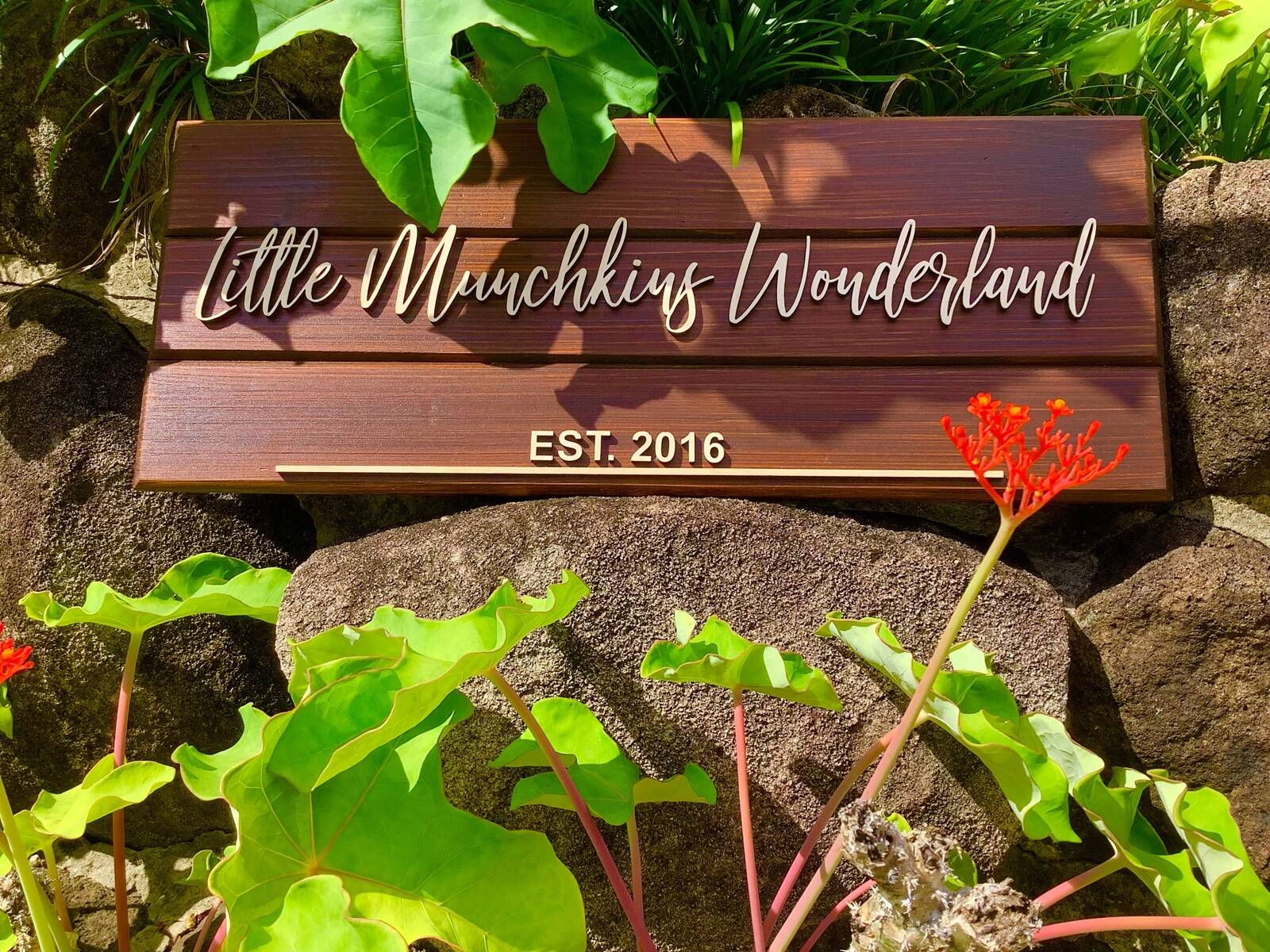 Little Munchkins Wonderland Early Years Education FDC