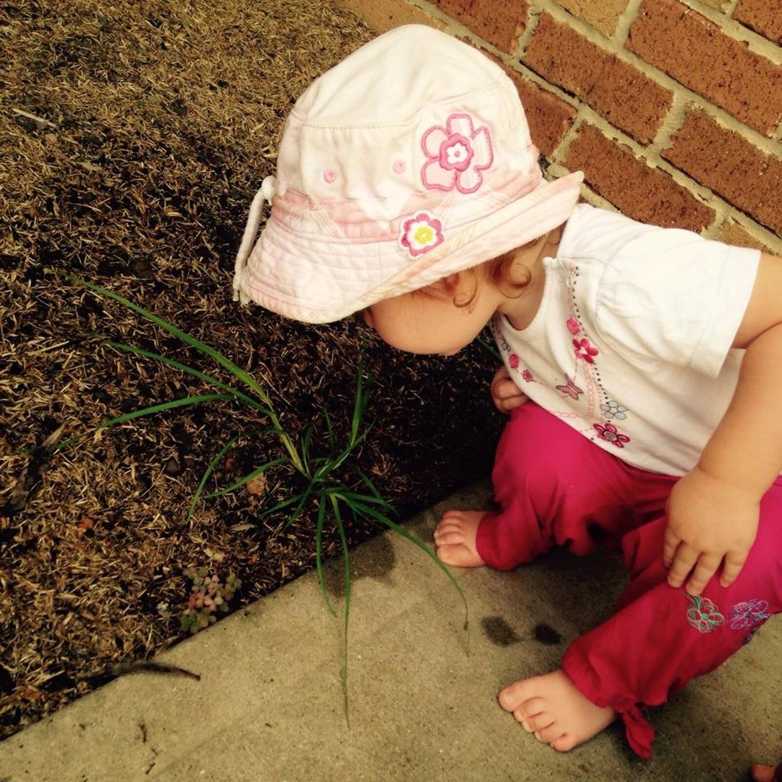 Bega Valley Family Day Care