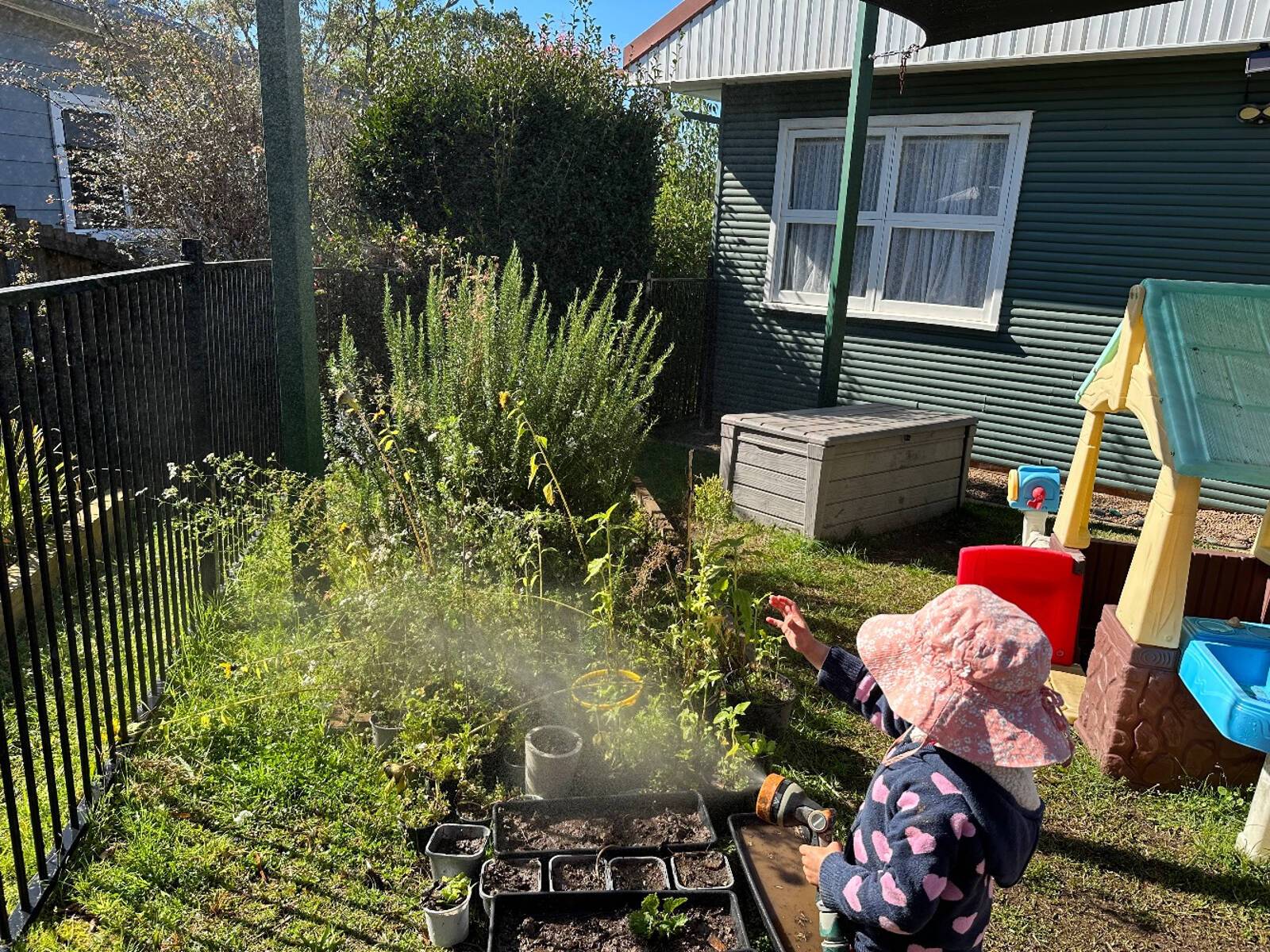 Hyacinth Family Day Care