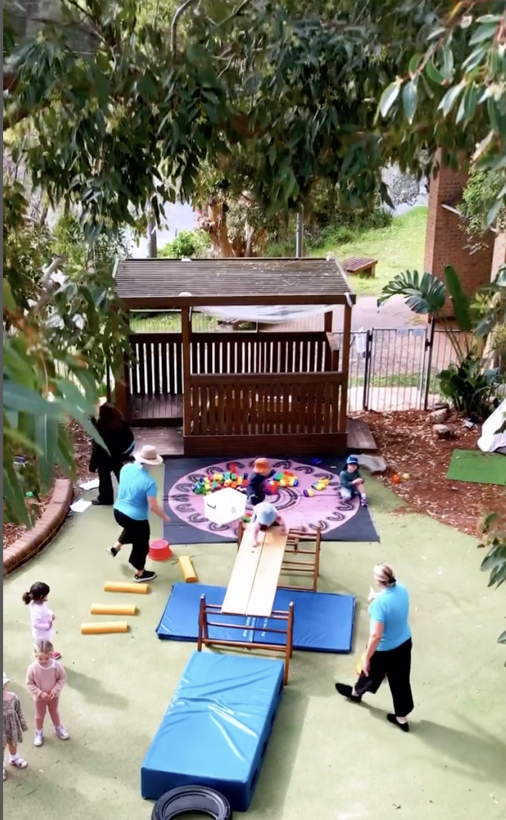 Bluey's Treehouse Avalon Preschool