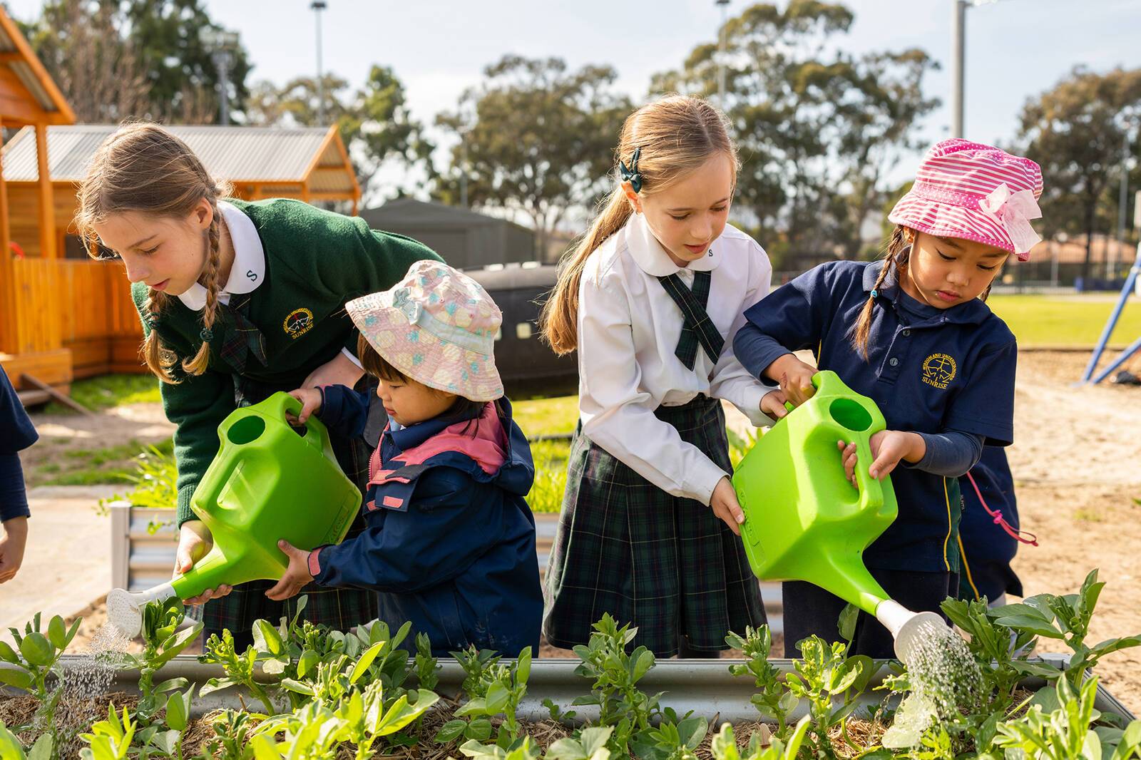 Sunrise Paradise Early Learning Centre