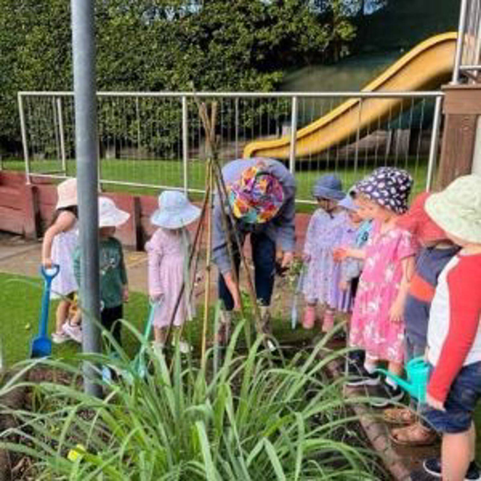 Jack & Jill Kindergarten Mosman