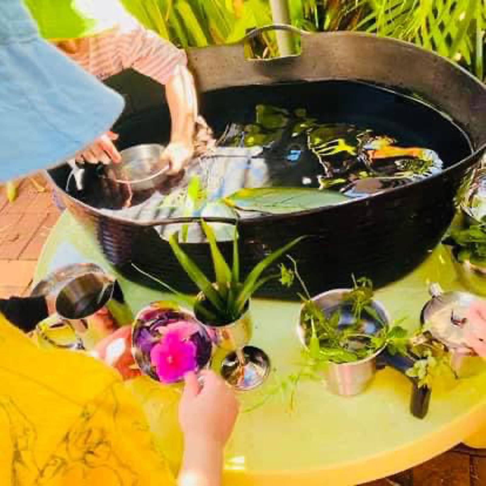 The Nest Family Day Care