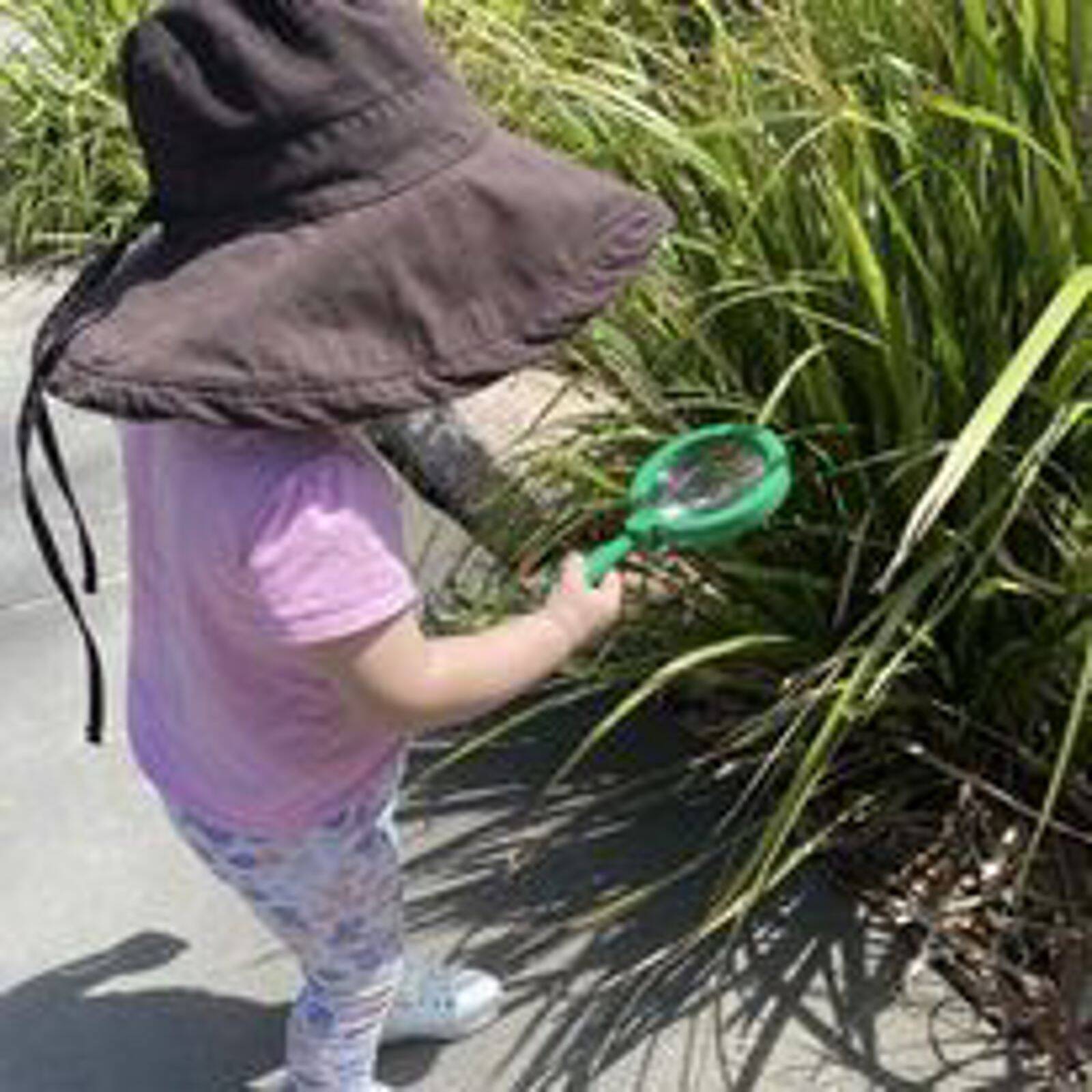 Mudpies & Memories Family Day Care