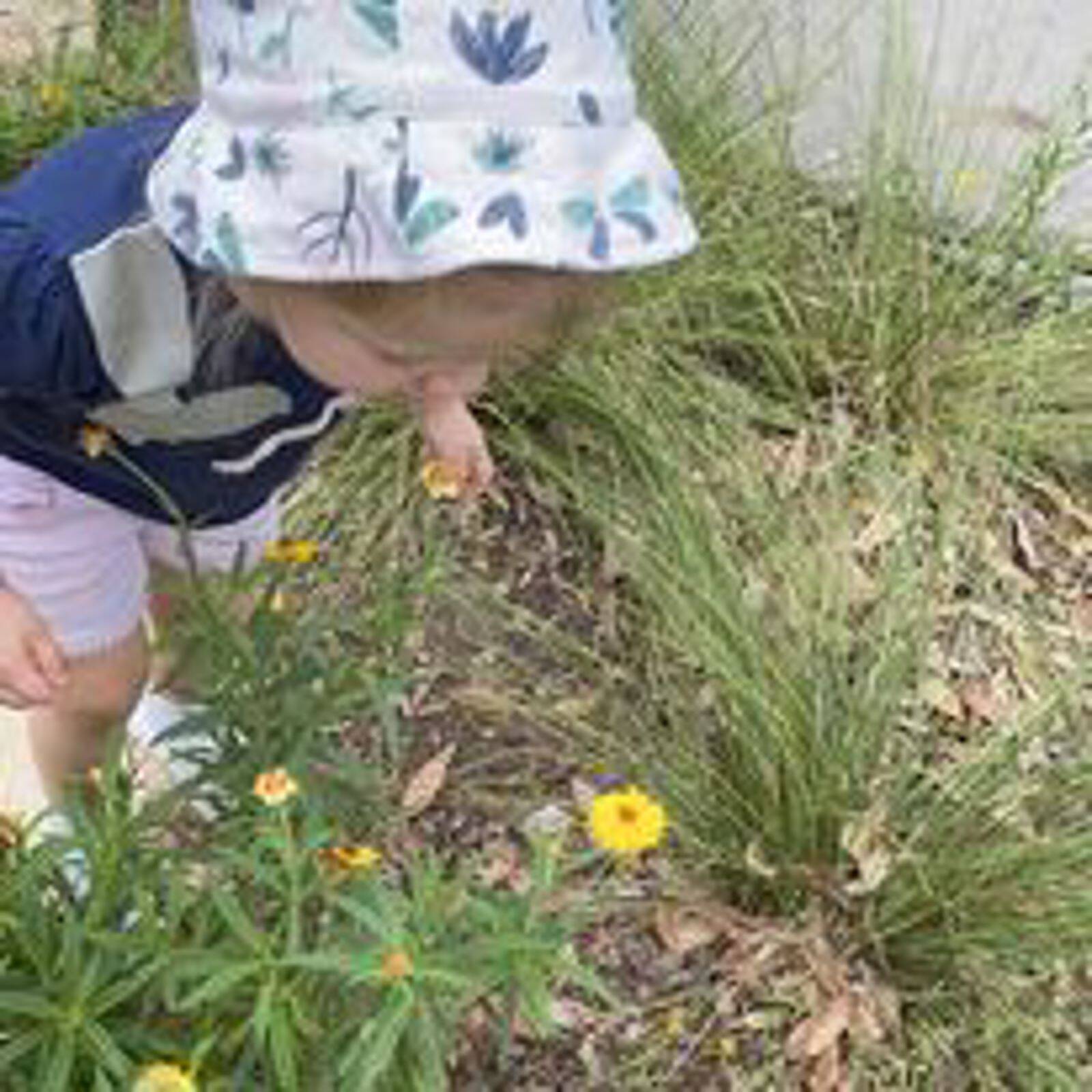 Mudpies & Memories Family Day Care