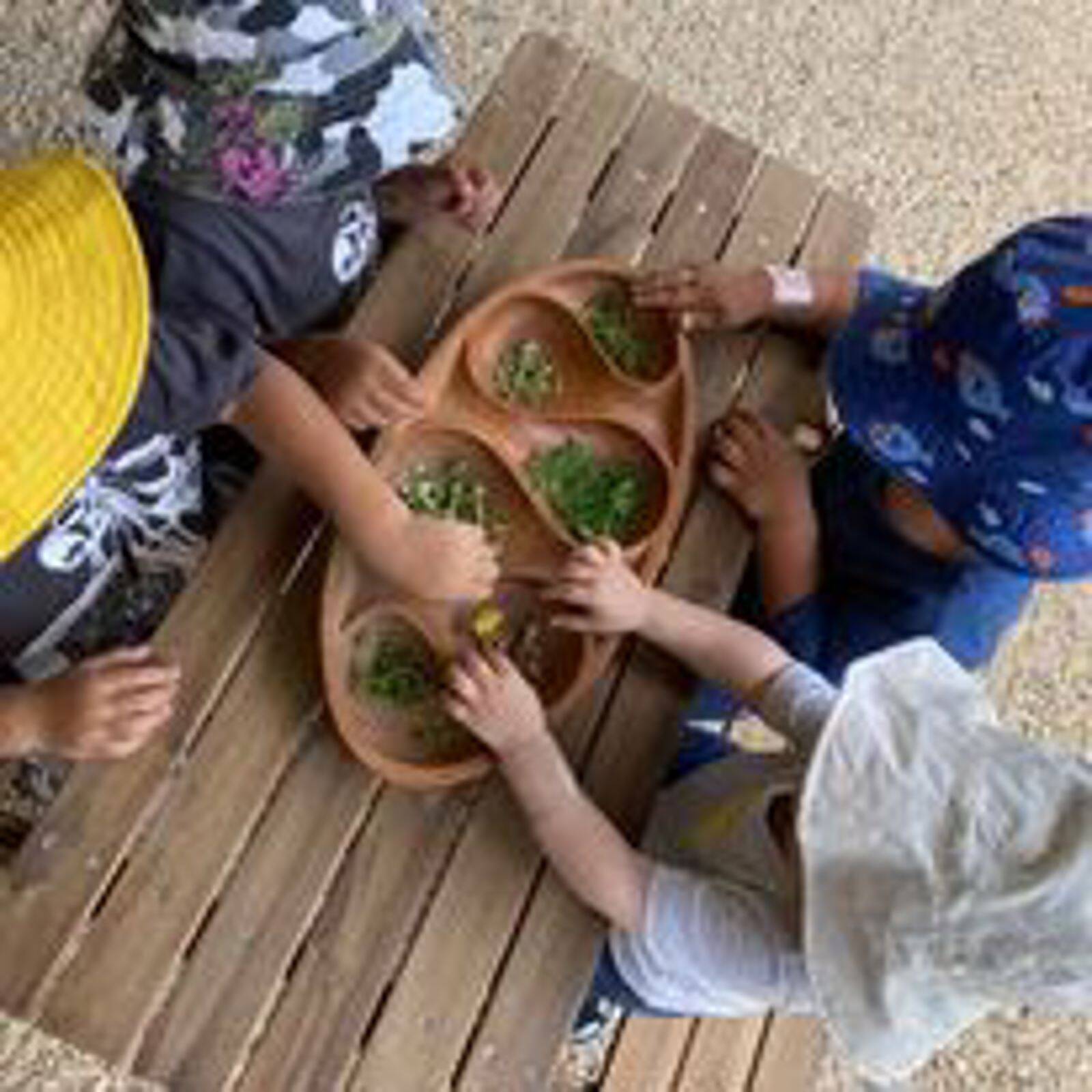 Mudpies & Memories Family Day Care