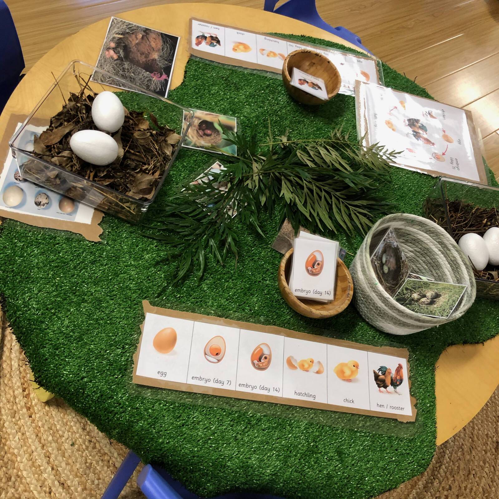 ZL Little Kids School