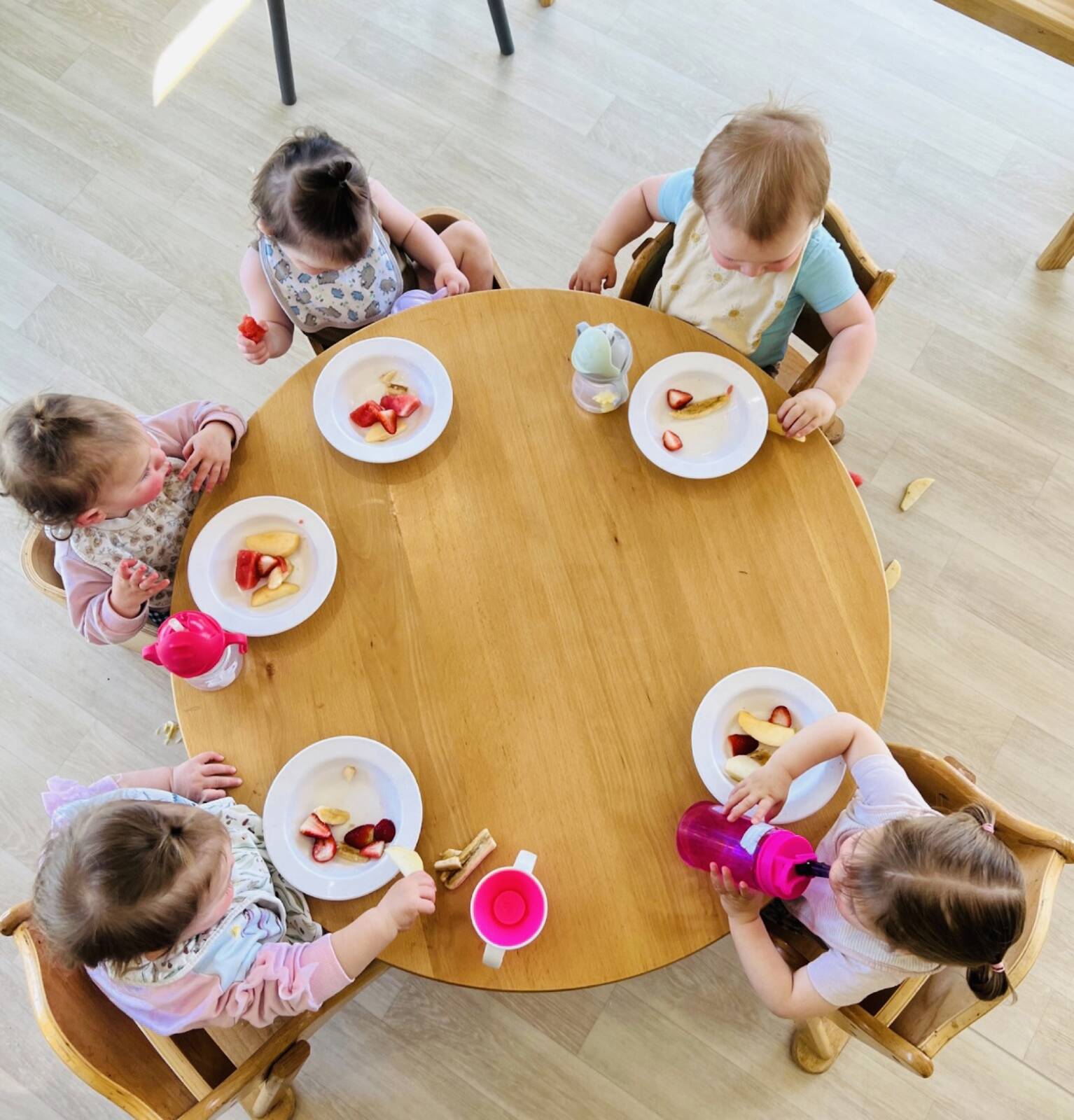 Beginnings Early Learners - Alfredton