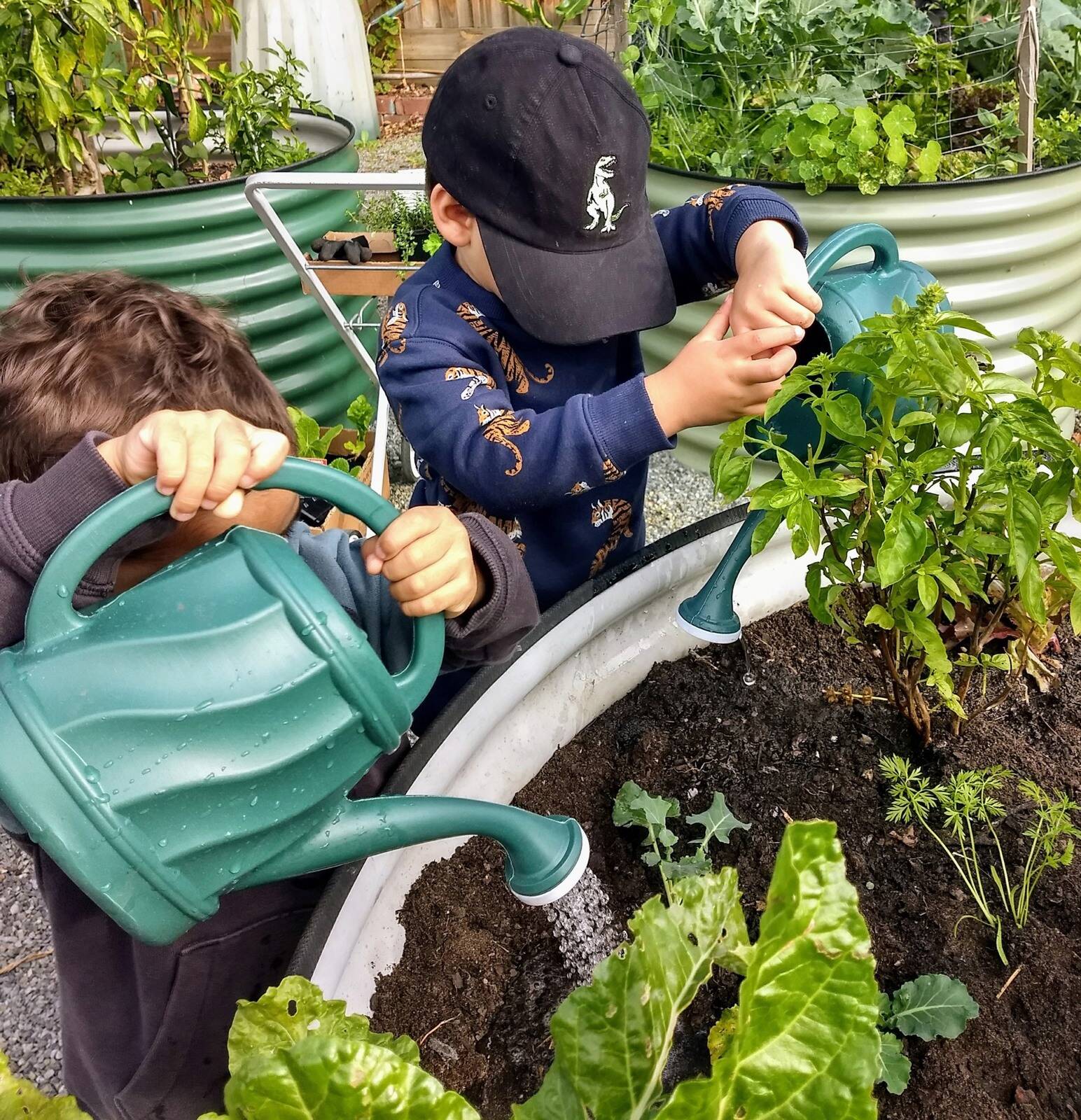 Mariana's Family Day Care