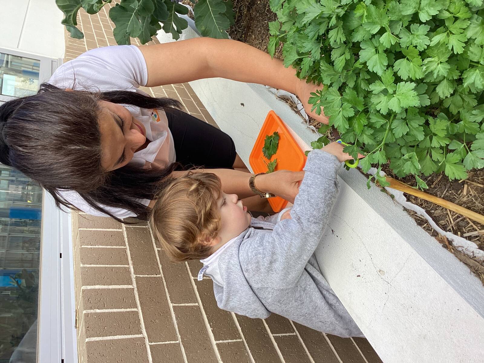 Reggio Academy Castle Hill