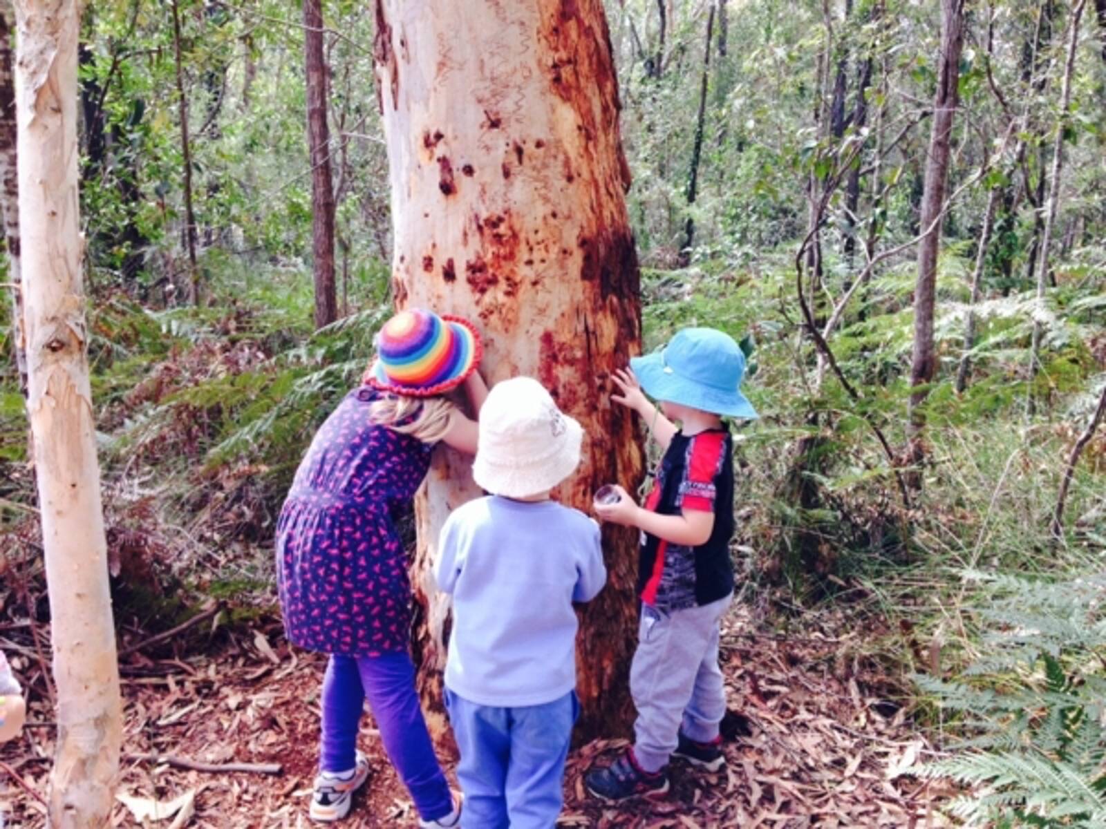 Wynnum Family Day Care Education Service - Redland Bay