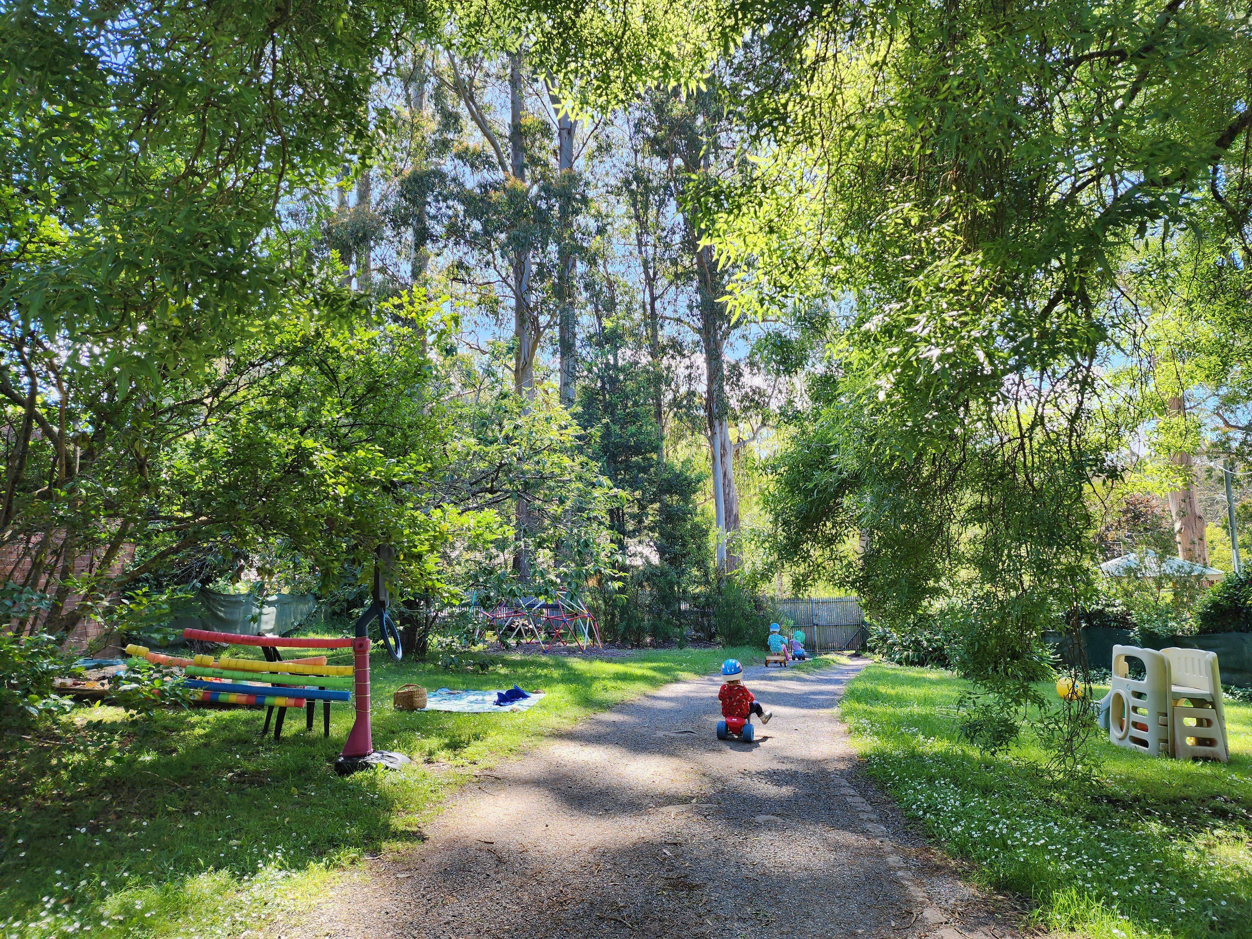 Tree Tots Family Day Care