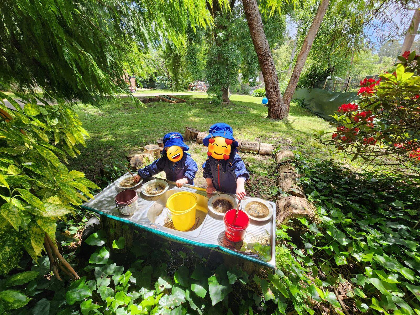 Tree Tots Family Day Care