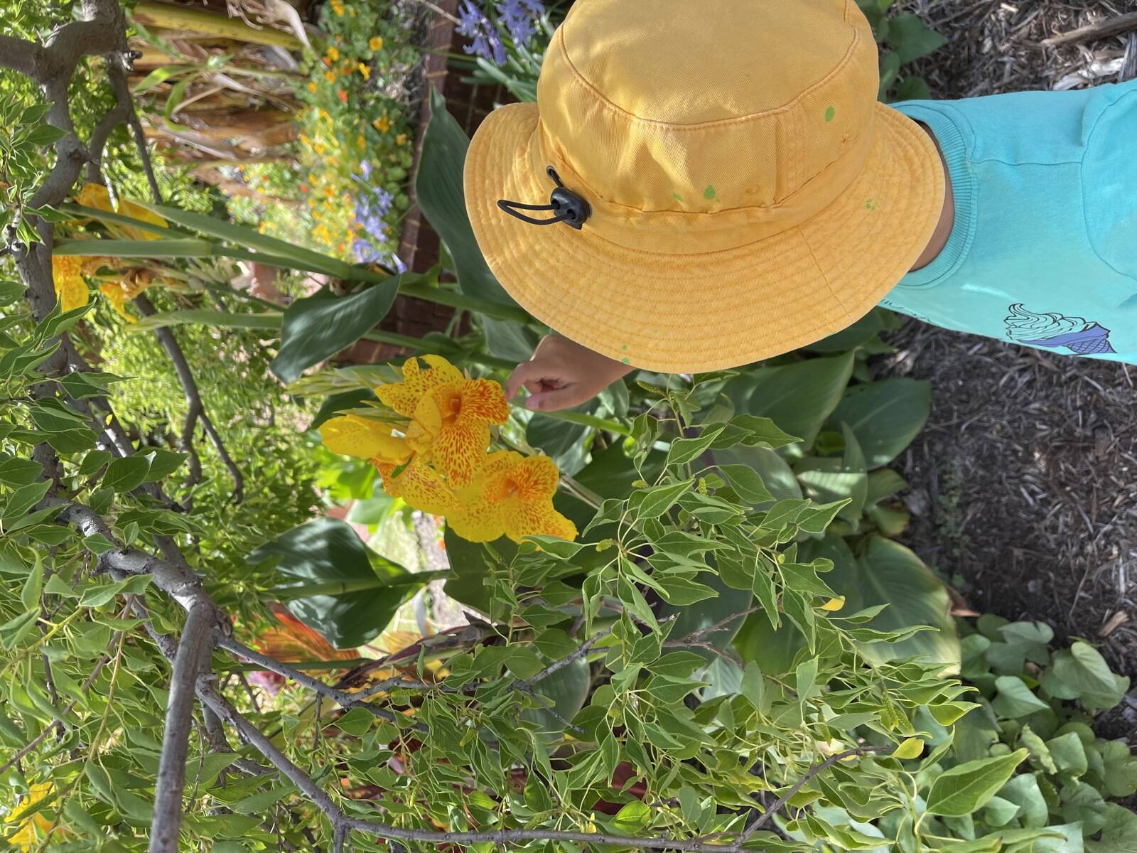 Happy at Home Family Day Care