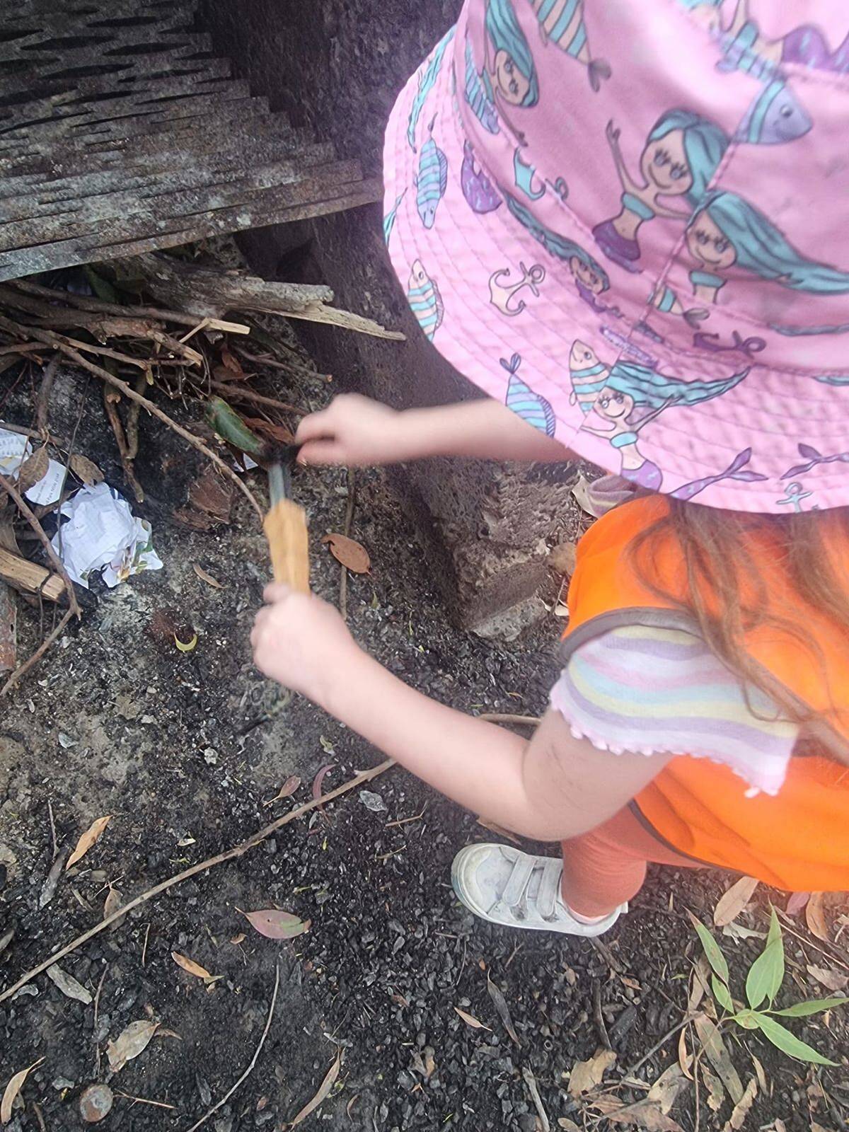 Garden Suburb Nature School