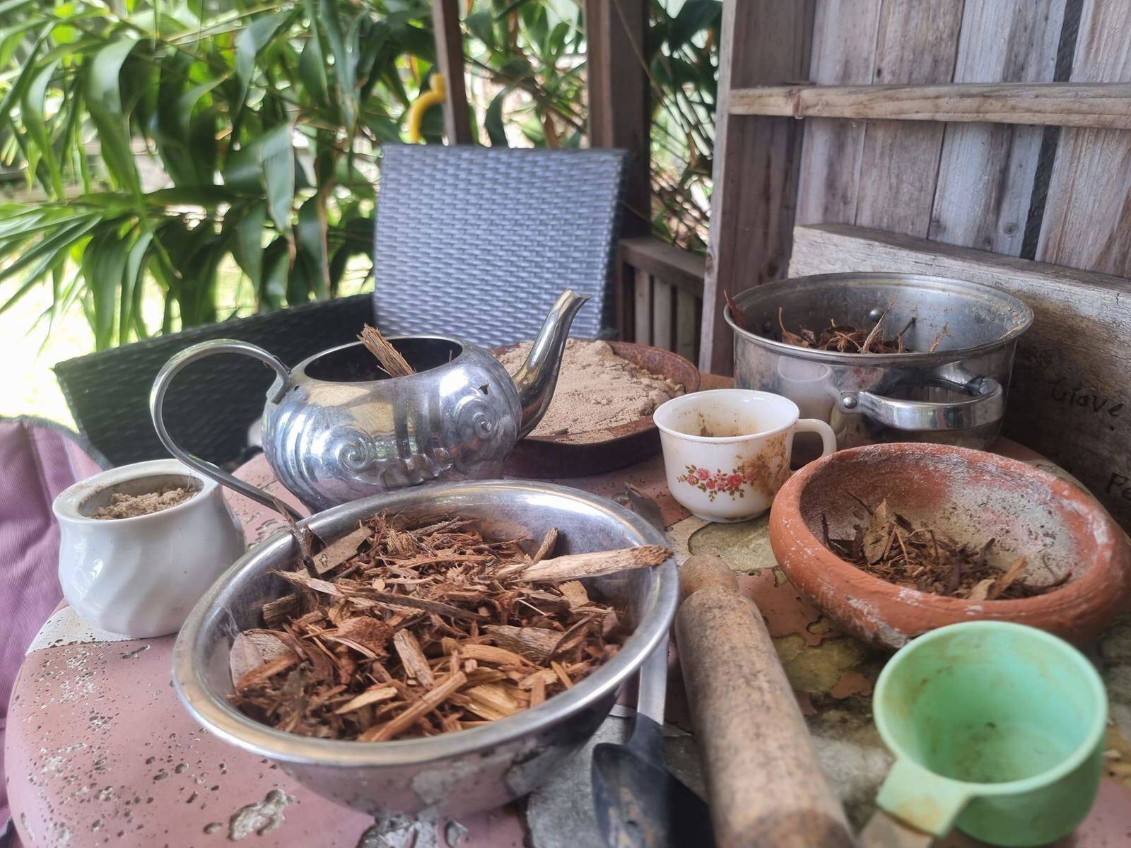 Garden Suburb Nature School