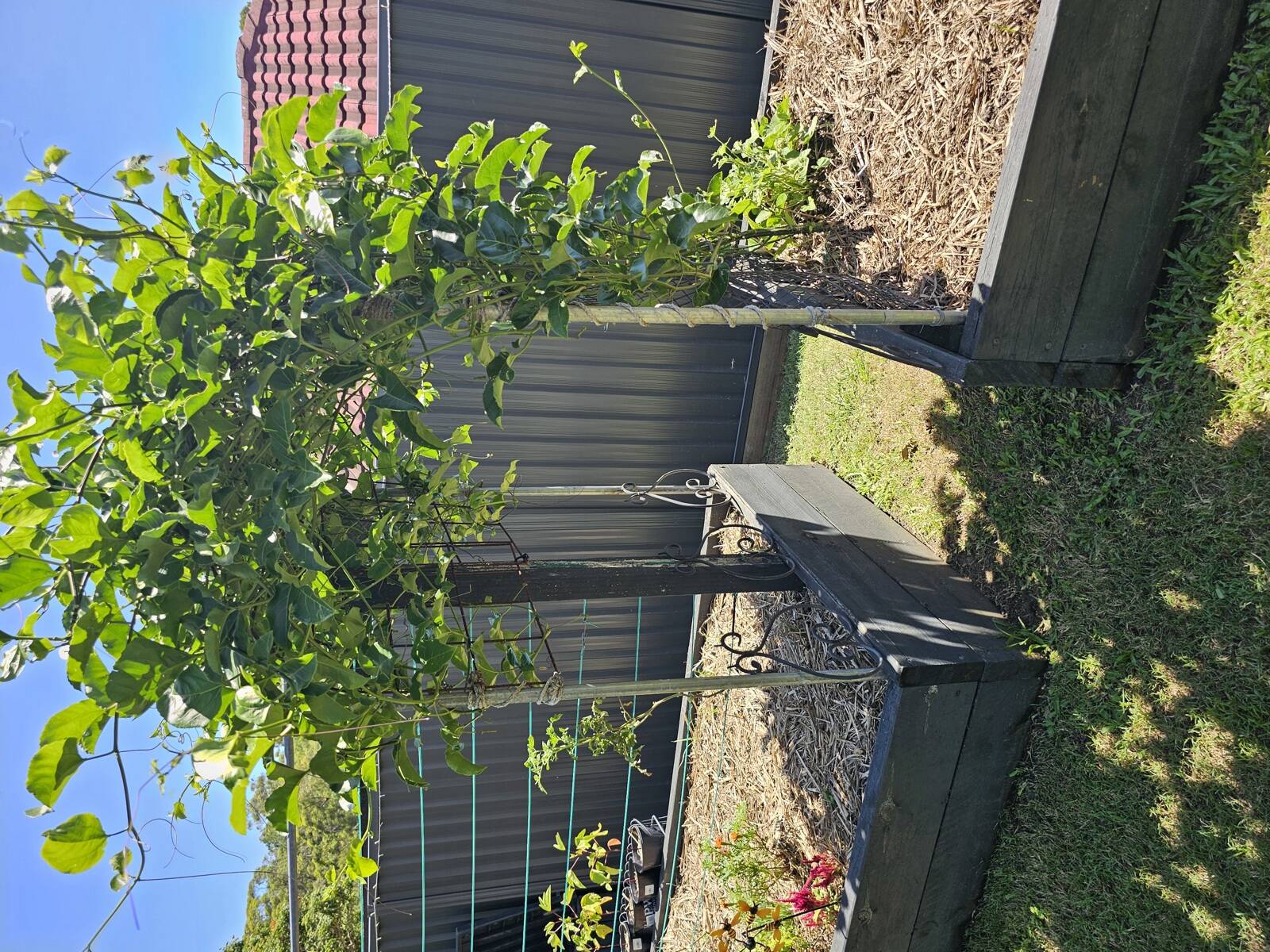 Dalena's Little Cubs Club Family Day Care