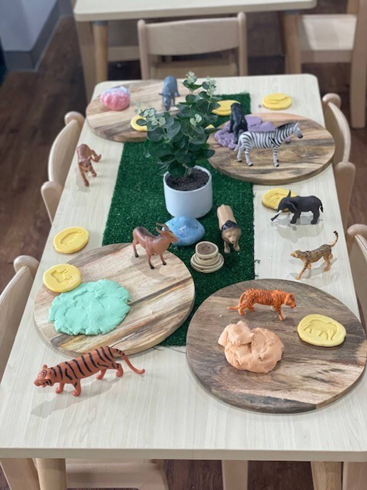 Little Angels at Pagewood Green