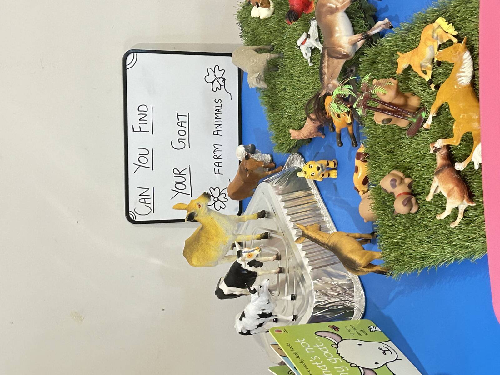 Little dove Family Day Care