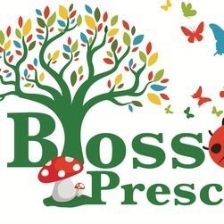 Blossom Preschool - Sans Souci