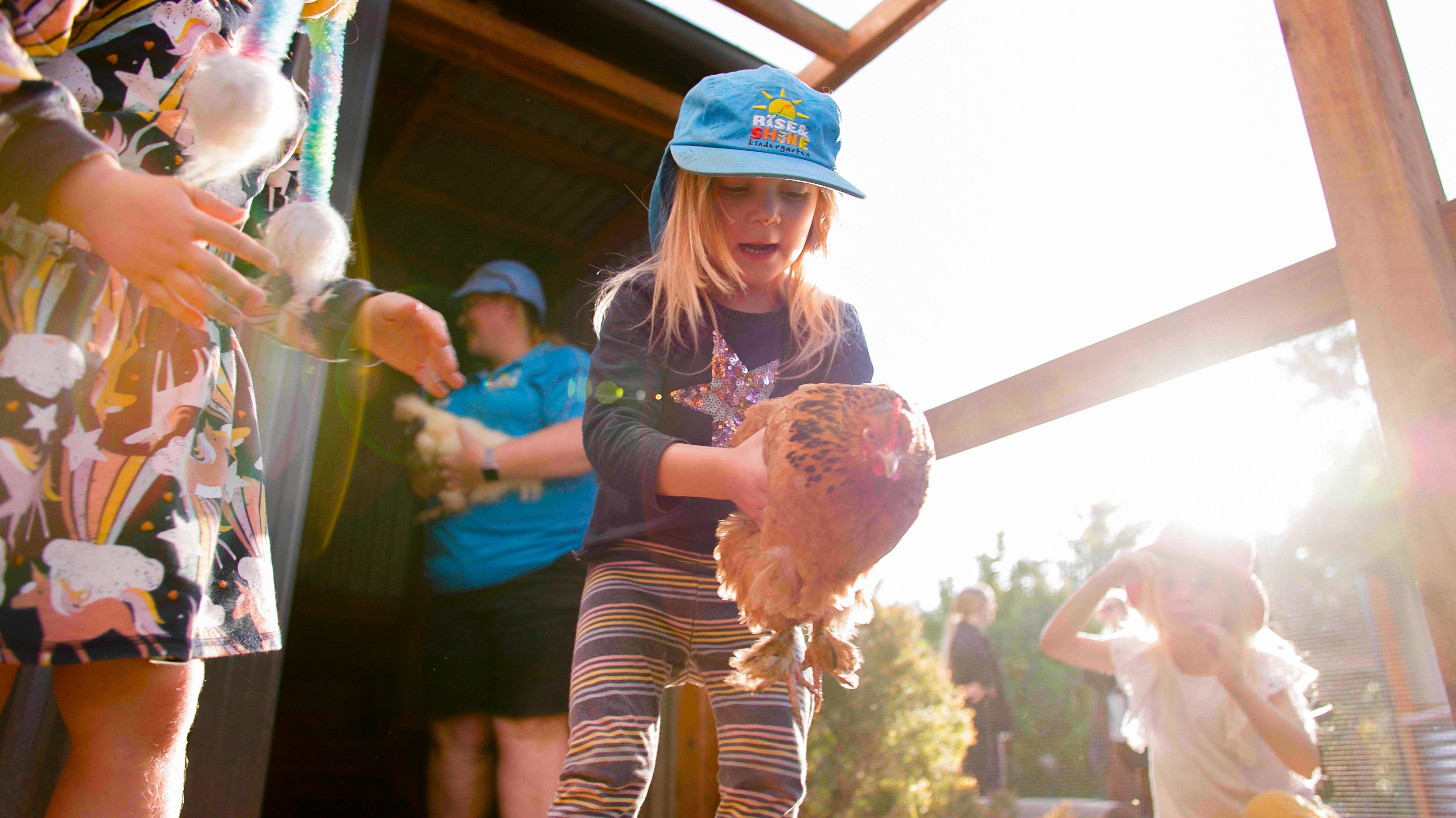 Rise & Shine Kindergarten - Haberfield