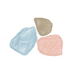 Basics First Early Learning